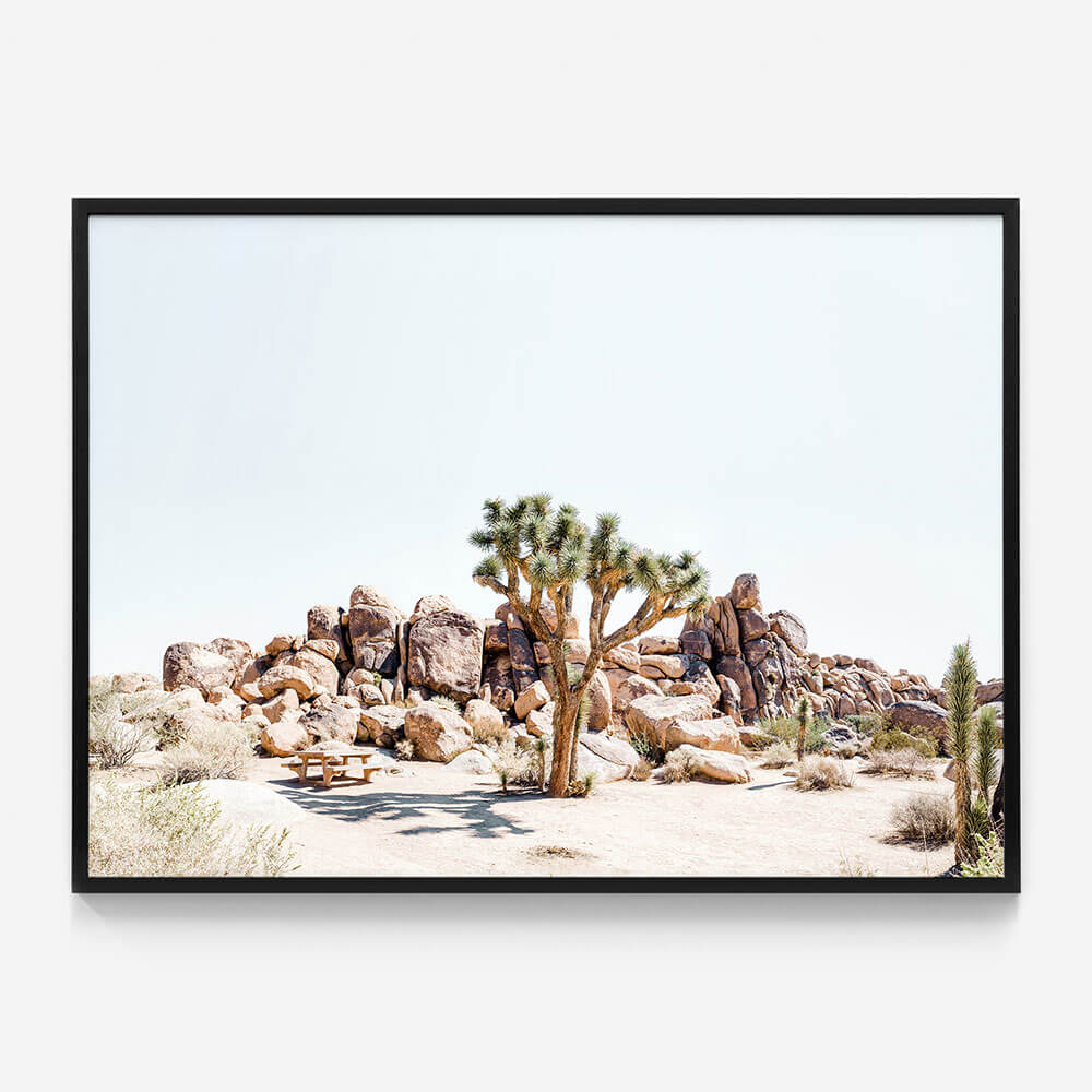 Indio