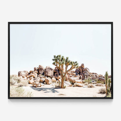 Indio