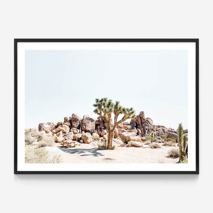 Indio