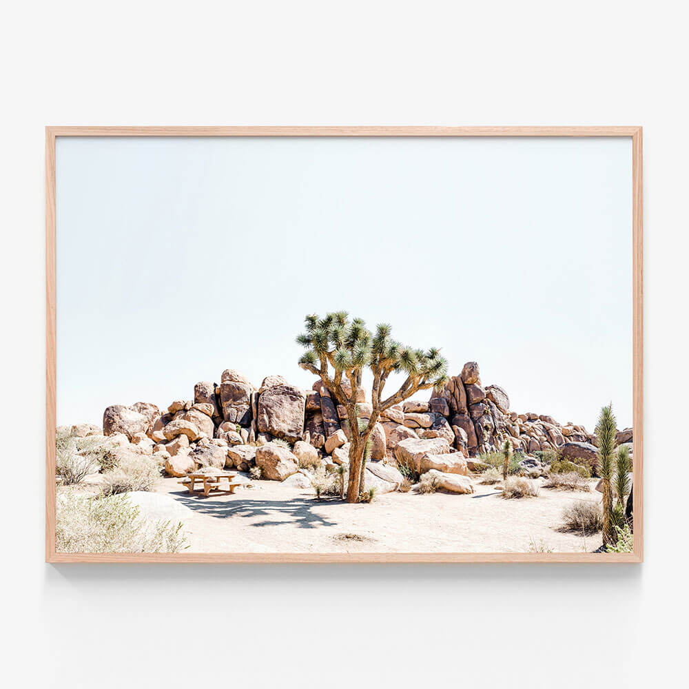 Indio