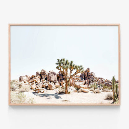 Indio