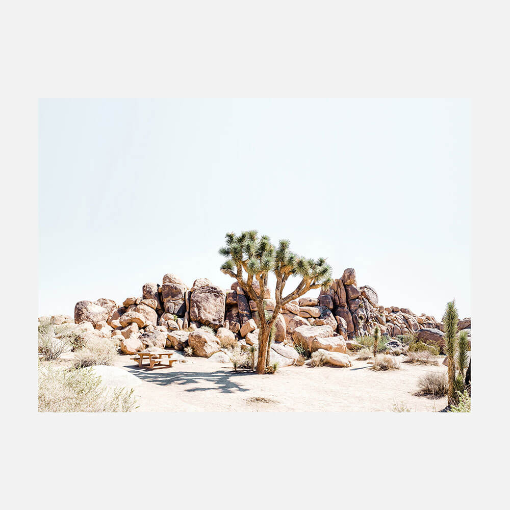Indio