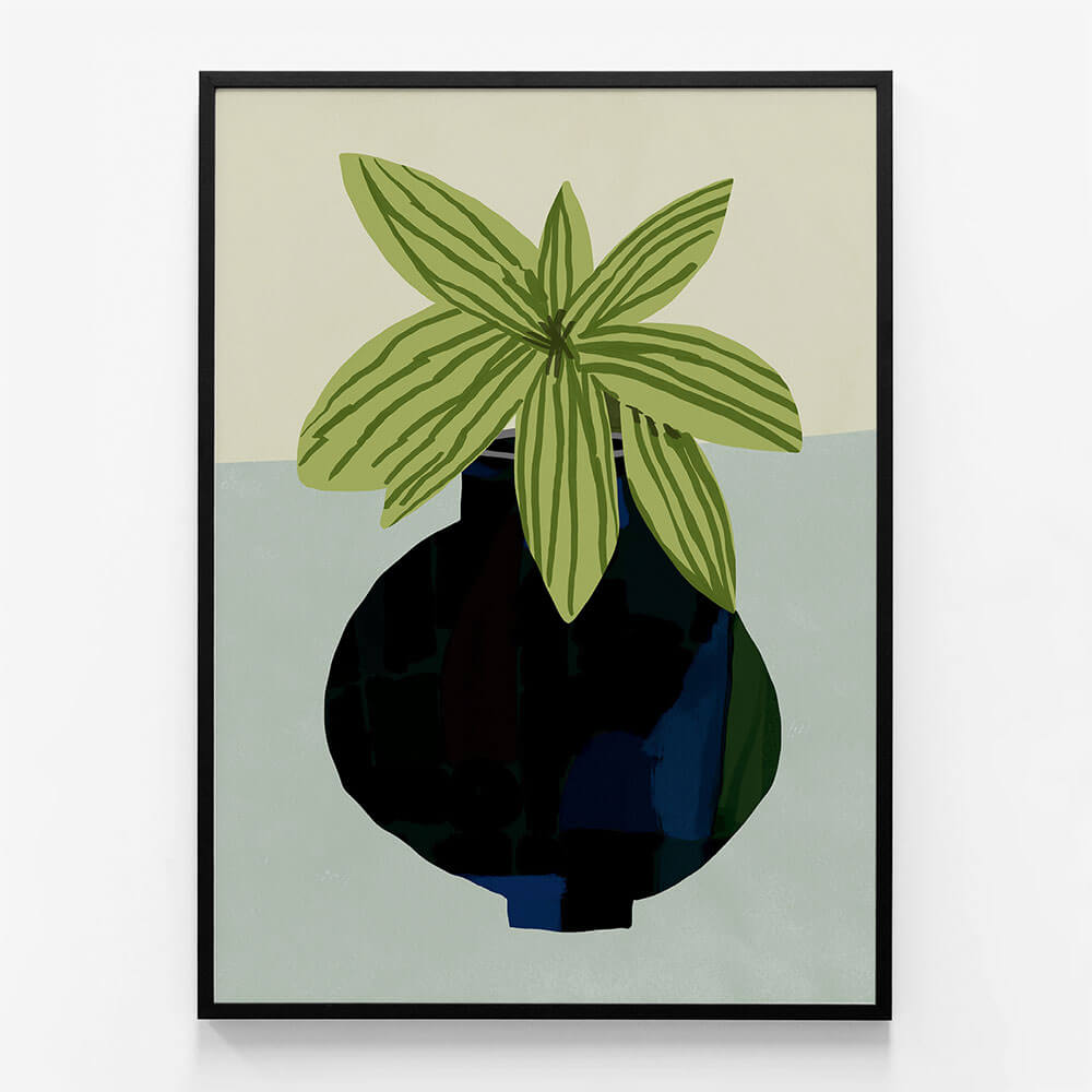 Indoor Plant