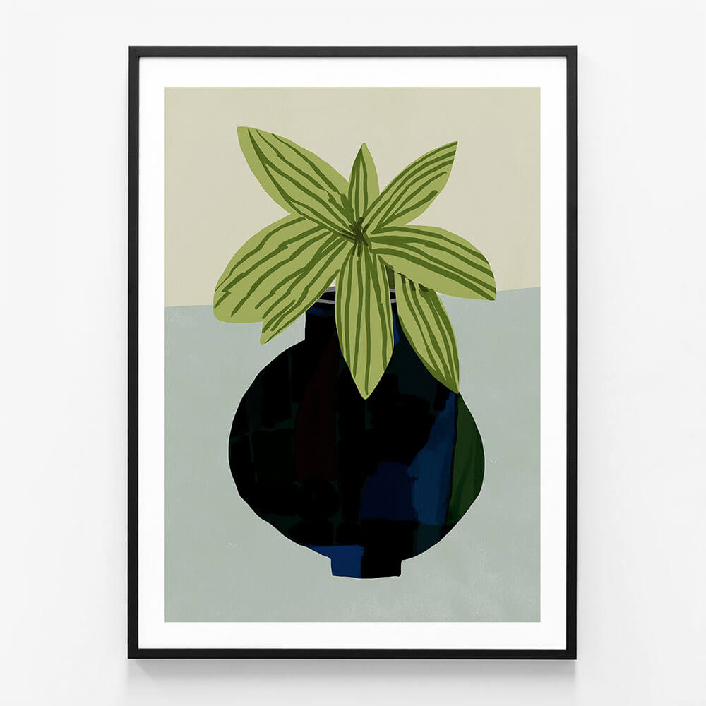 Indoor Plant