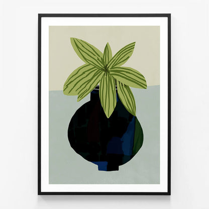 Indoor Plant