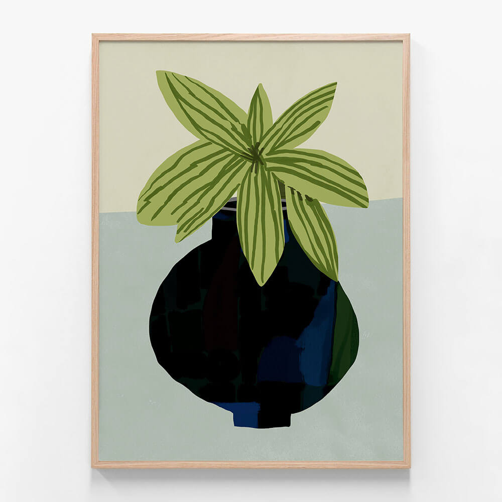 Indoor Plant