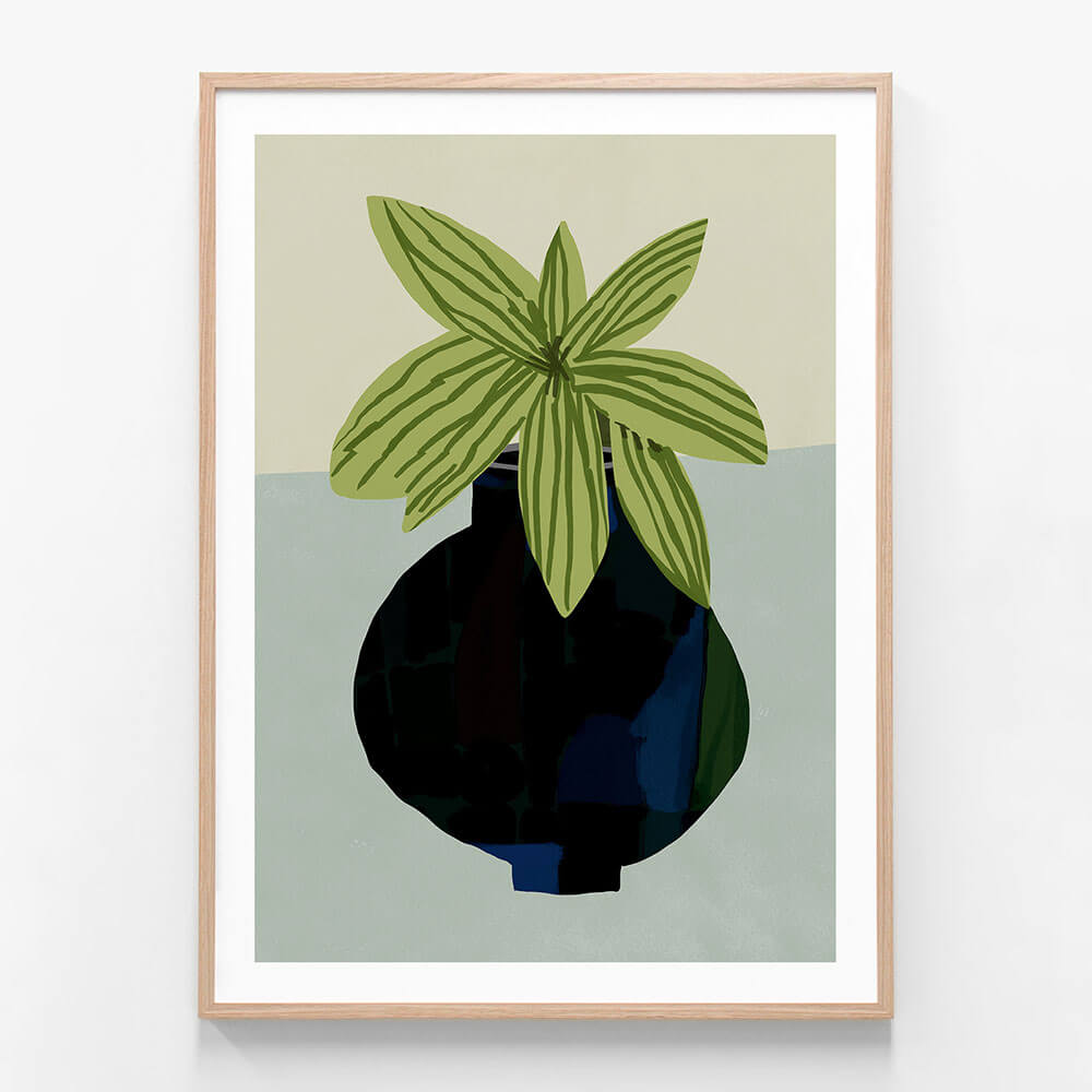 Indoor Plant