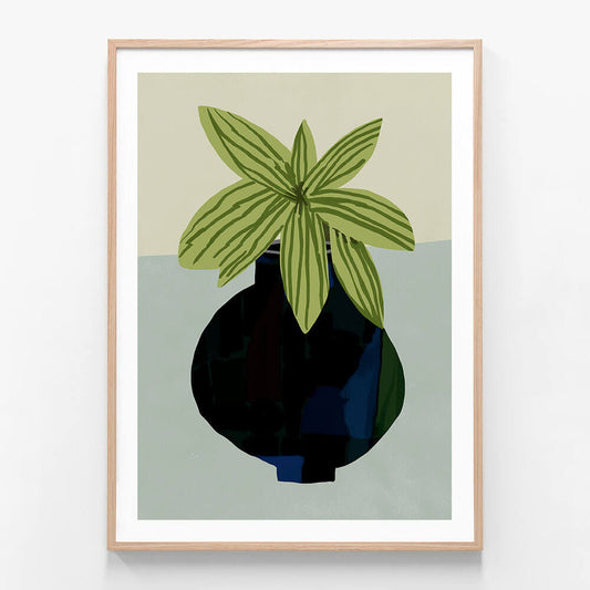 Indoor Plant