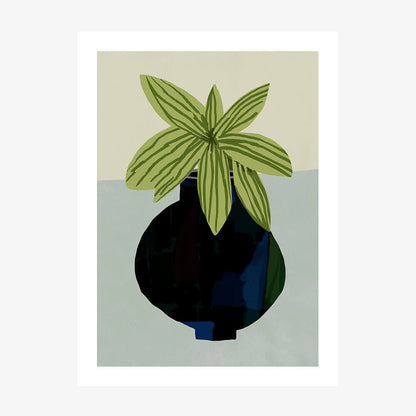 Indoor Plant