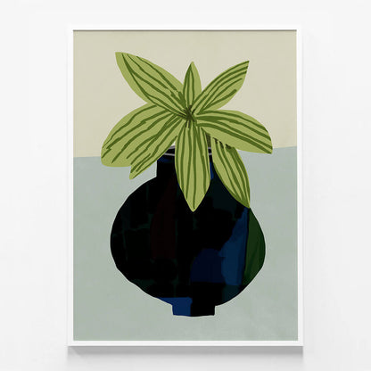 Indoor Plant
