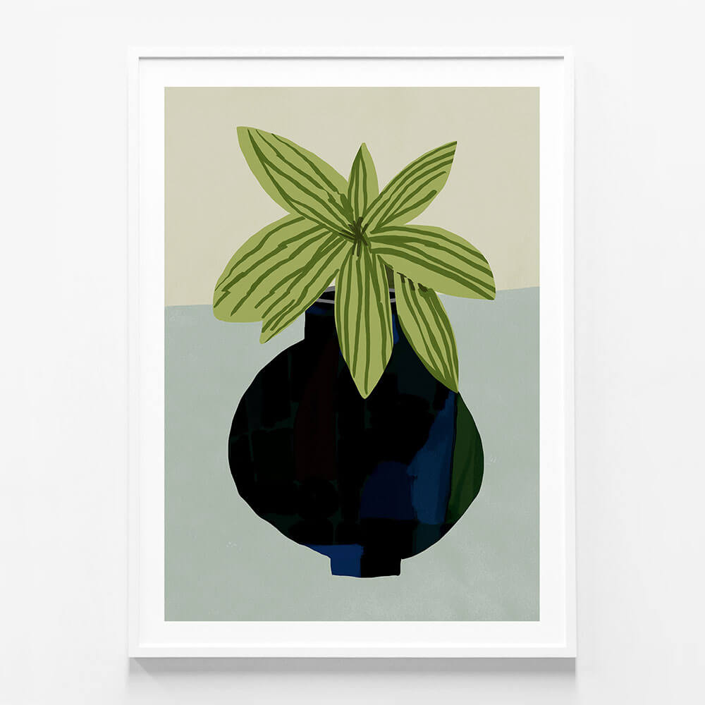 Indoor Plant