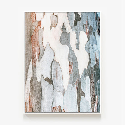 Iron Bark Canvas