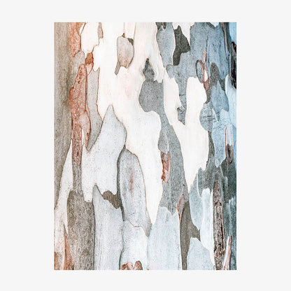 Iron Bark