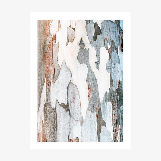 A poster art print featuring close up photo of gum tree eucalyptus bark patterns.