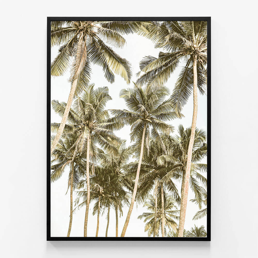 Island Bliss