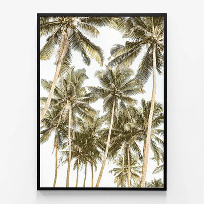 Island Bliss