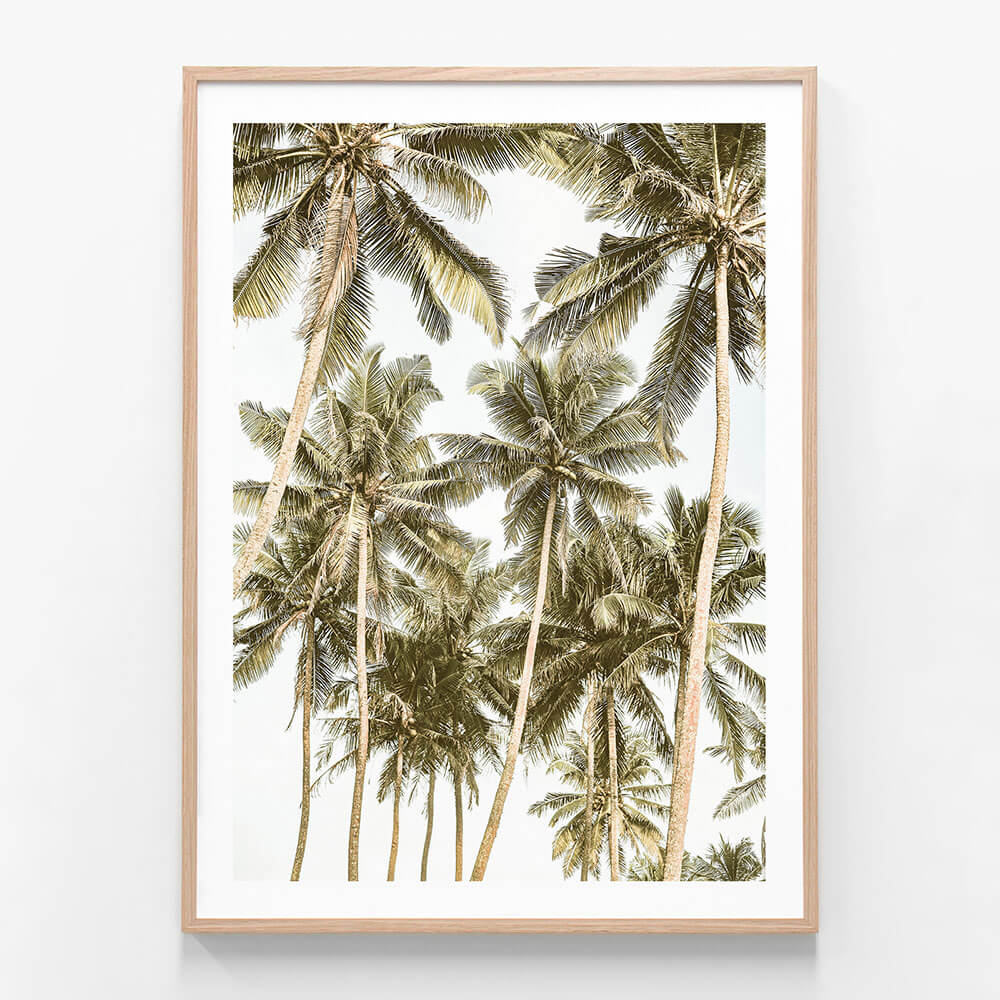 Island Bliss