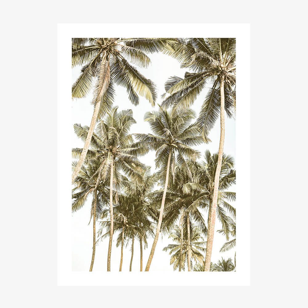 Island Bliss