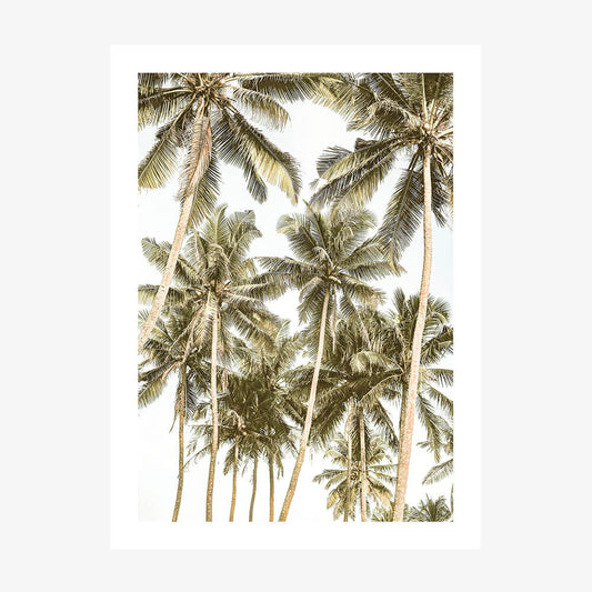 Island Bliss