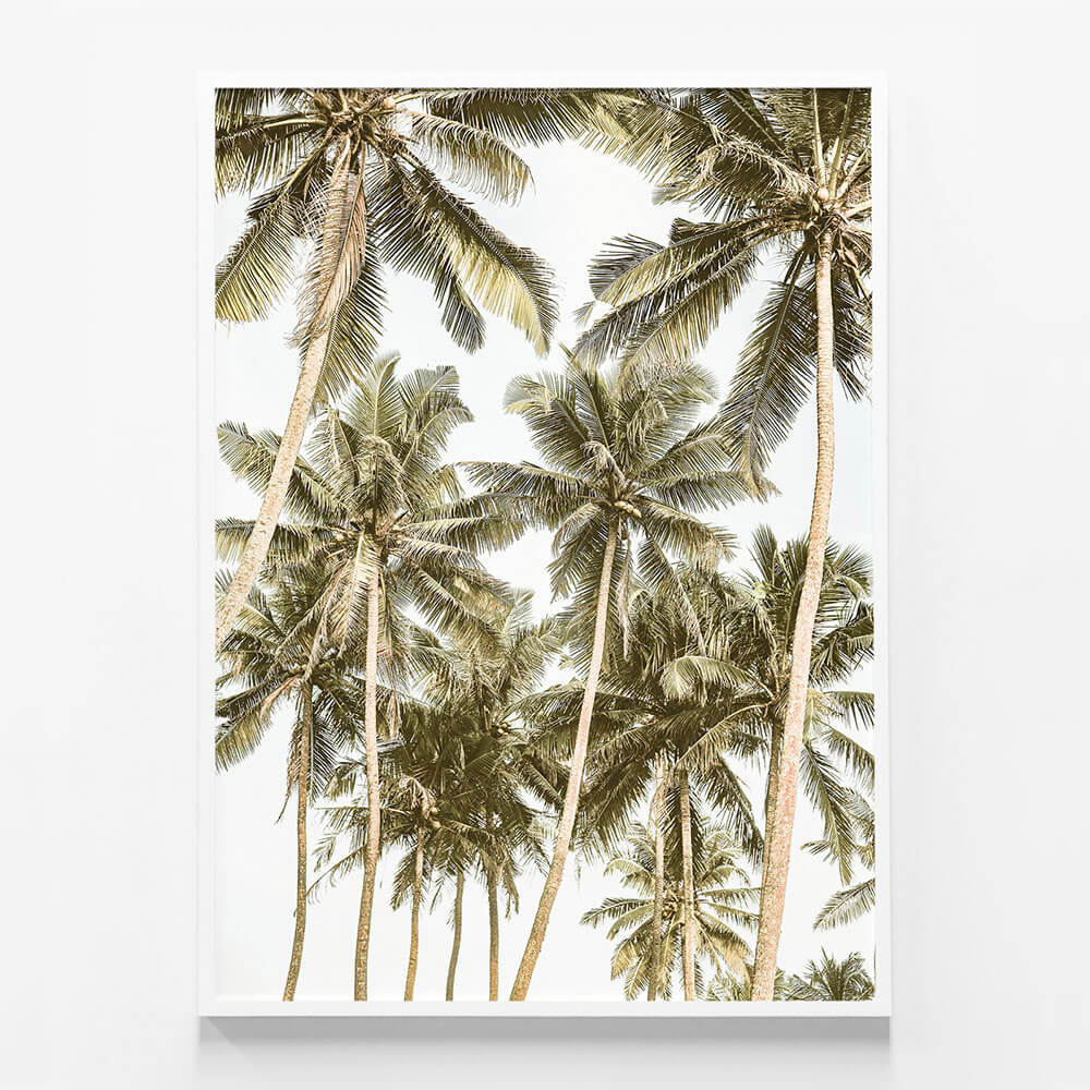 Island Bliss