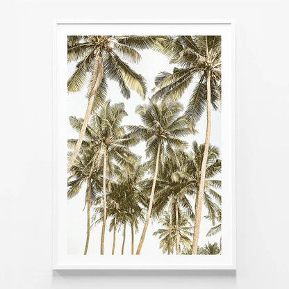Island Bliss