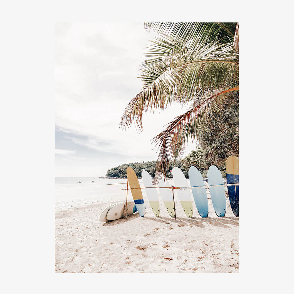Island Boards