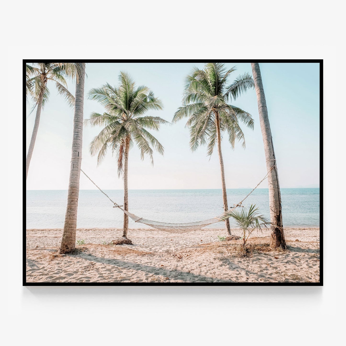 Island Hammock Canvas