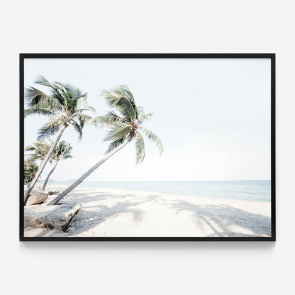 Island Oasis