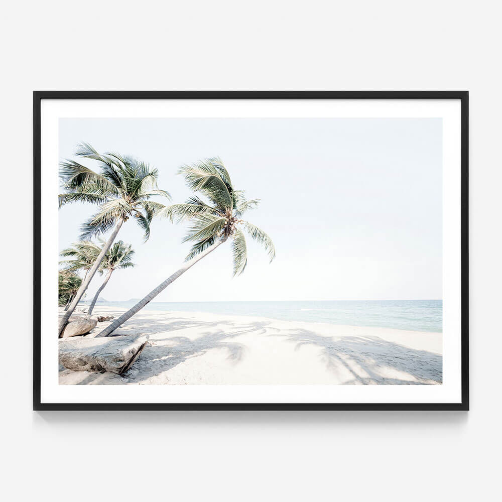 Island Oasis