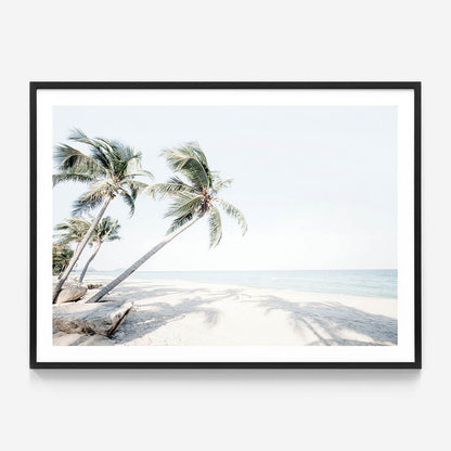 Island Oasis
