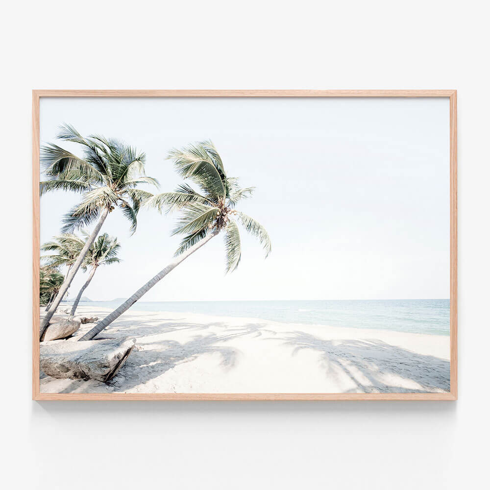 Island Oasis