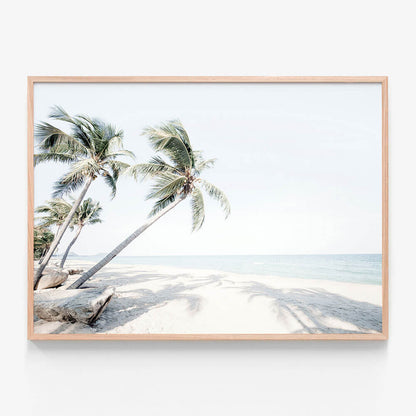 Island Oasis