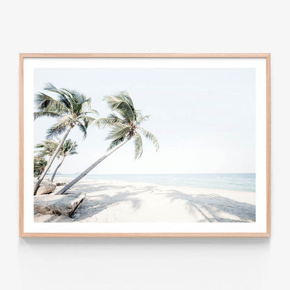 Island Oasis