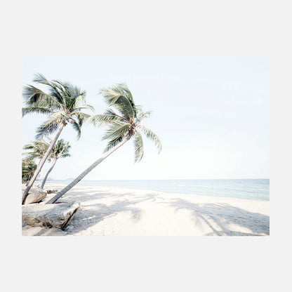 Island Oasis