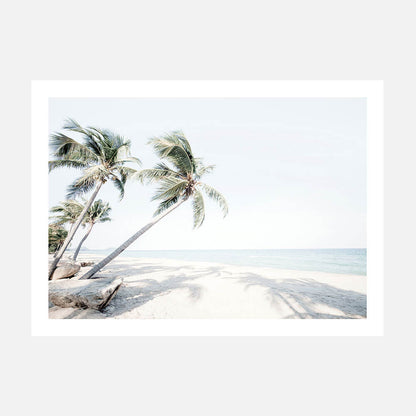 Island Oasis