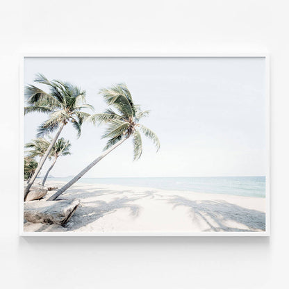 Island Oasis