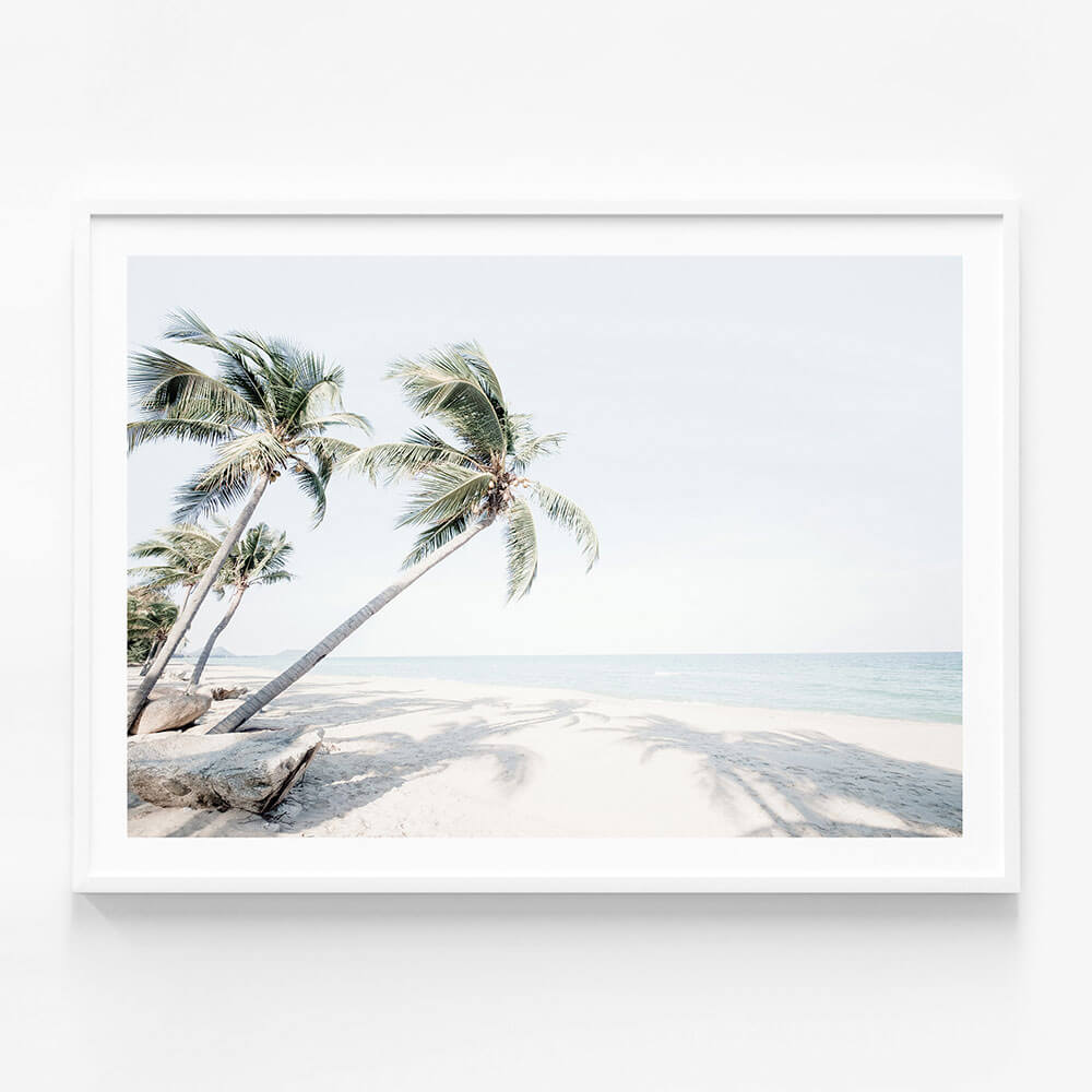 Island Oasis