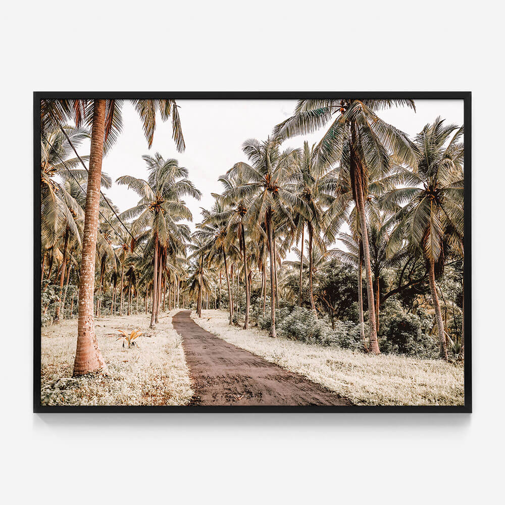 Island Road