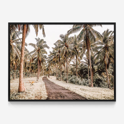 Island Road