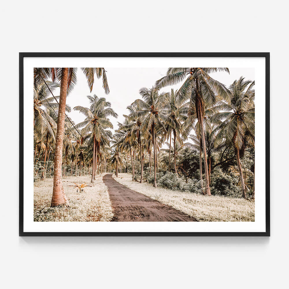 Island Road