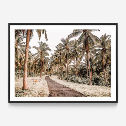Island Road