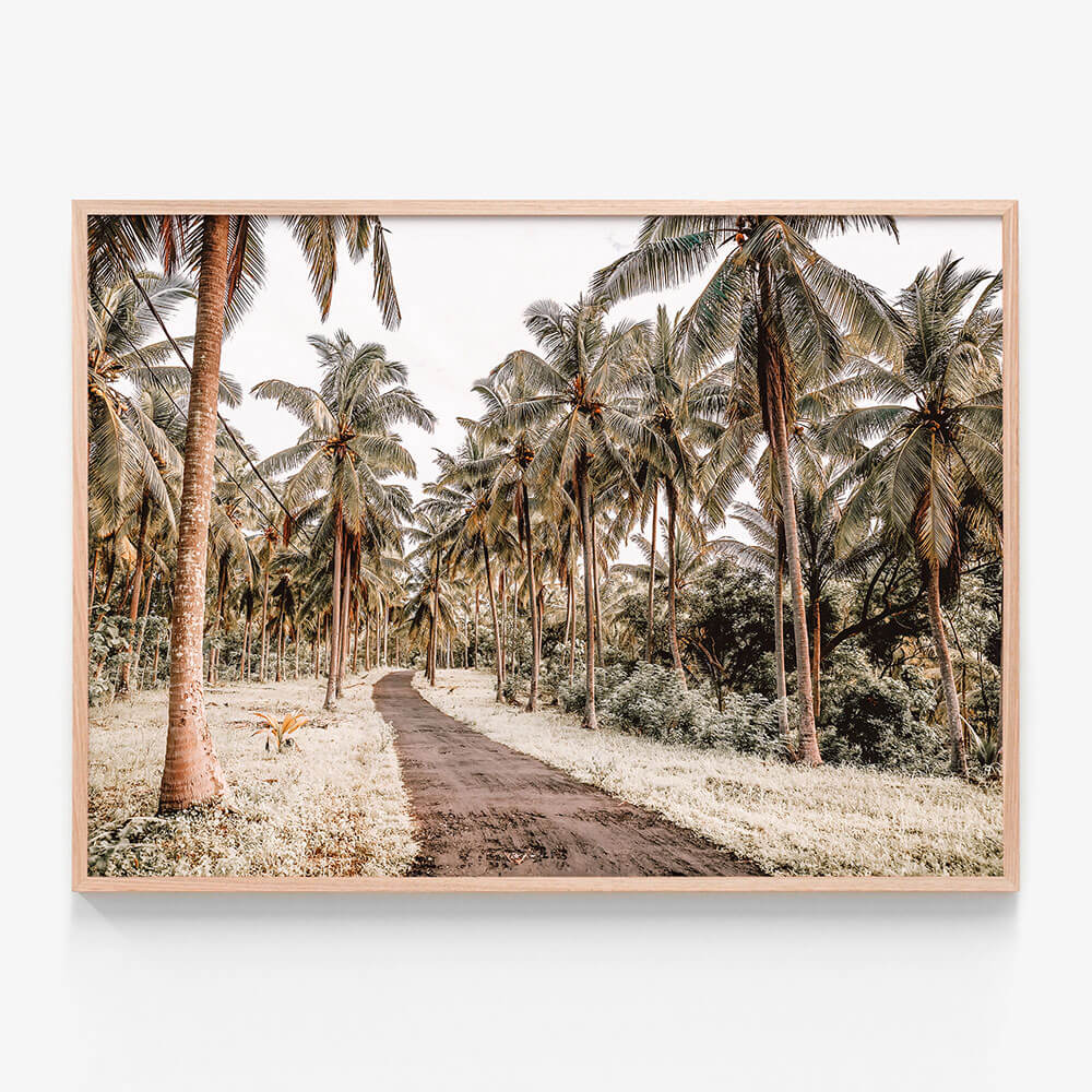 Island Road