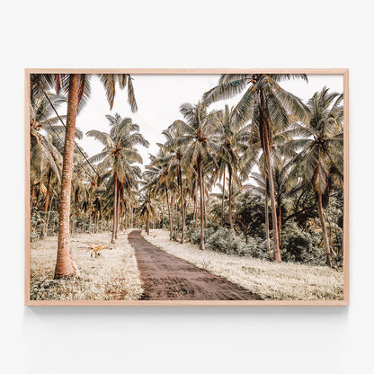 Island Road