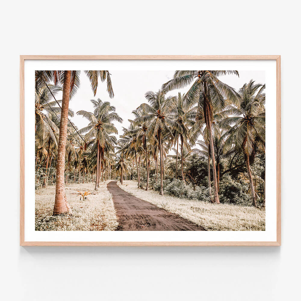 Island Road