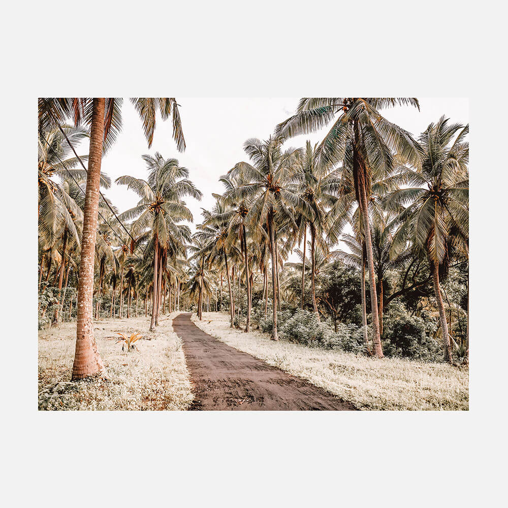 Island Road