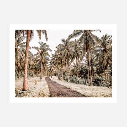 Island Road