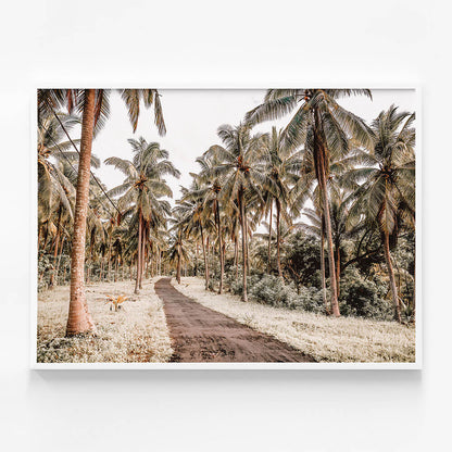 Island Road