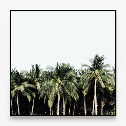 Island Vibes Canvas