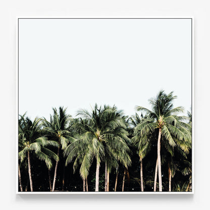 Island Vibes Canvas