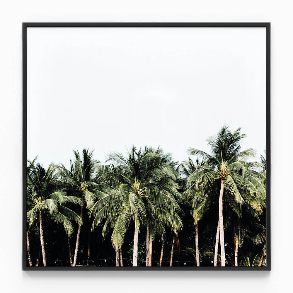 Island Vibes